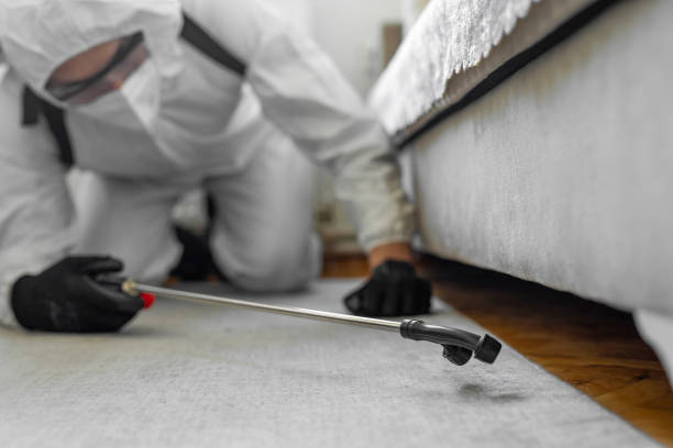 Professional Bed Bug Control technician working in Childress County County, TX